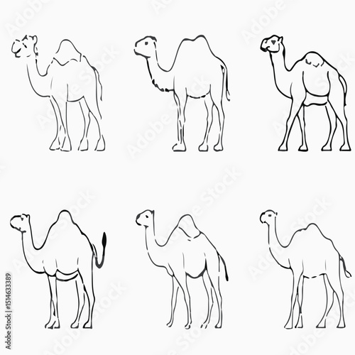 set of camels vector