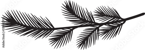 Black Silhouette of a Sprig of Pine Tree Branches
