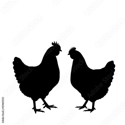 hen and rooster