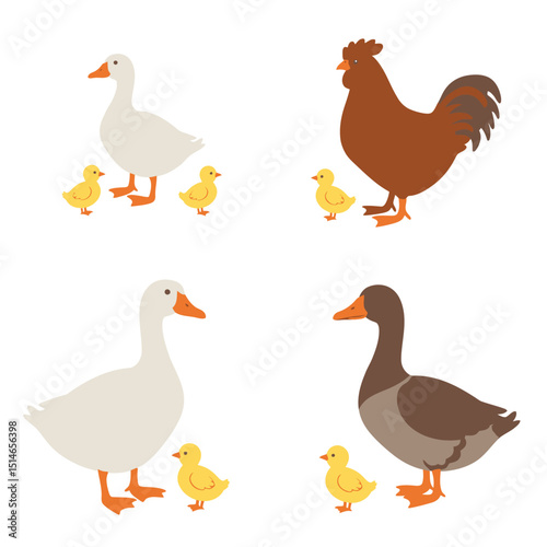 farm animals collection