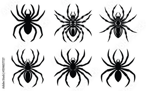 Spider Vector Silhouettes Set