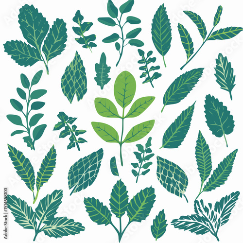 Firefly A Collection of Herbal Leaves for Traditional and Modern Medicine