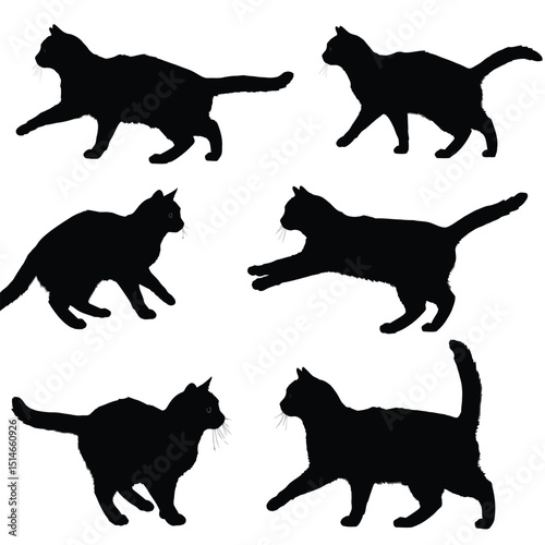 set of funny cartoon animals cat