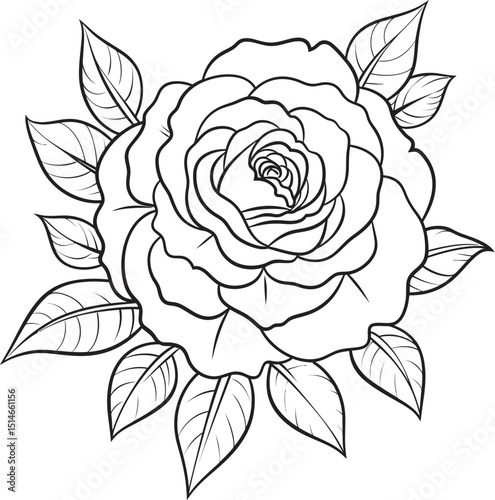 Wallpaper Mural Minimalist rose vector icon with fine black line art details Beautiful black rose line art vector logo with clean outlines Torontodigital.ca