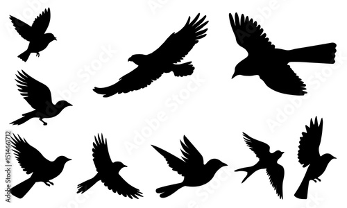 Canvas Print Flying Bird Silhouette Set in Various Poses Illustration