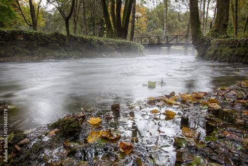 Source of Bosna River, Sarajevo-Ilidza. Misty river flows under a quaint wooden bridge surrounded by autumn foliage.