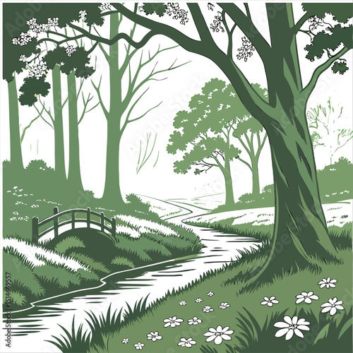 forest with cannel