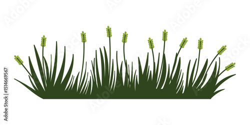 Fragments of green grass. A set of isolated bundles of grass.