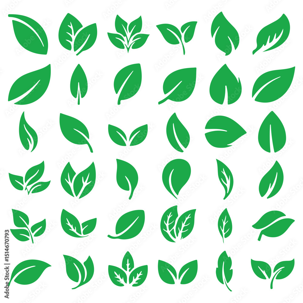 Collection of Green Leaf Icons 30+ Unique Vector Illustrations for Design Projects Collection of Green Leaf Icons 30+ Unique Vector Illustrations for Design Projects