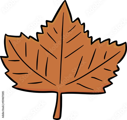 Illustration of leaf
