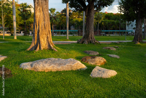 Fototapeta Naklejka Na Ścianę i Meble -  Sunlit park scene with trees and rocks on green grass, creating serene atmosphere
