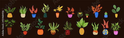 Indoor cute plants. Home flora, greenhouse. Colorful vegetation with foliage. Garden flower pot, house decor. Botanical doodles, succulents and cactuses. Vector tidy cartoon isolated greenery elements