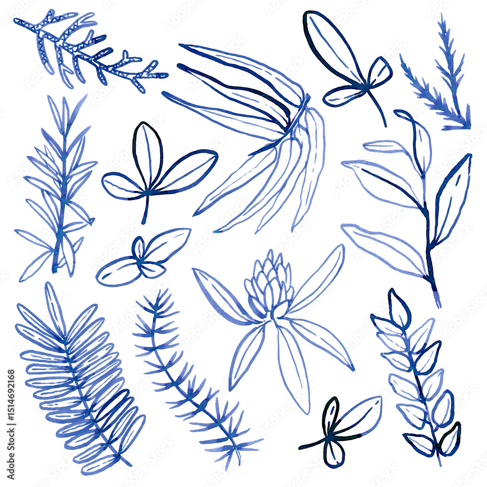 Obraz premium Watercolour hand drawn tropical leaves, brush line technique, blue leaves hand drawn.Ude as print, poster, element design, textile, fabric, sticker, tattoo, invitation, greeting card, package design.