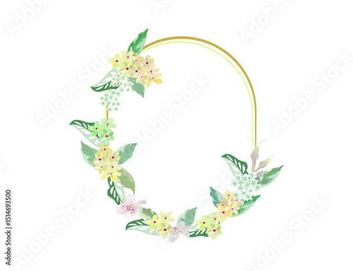 scorpion grasses floral frame with tiny foliage isolated on white background
