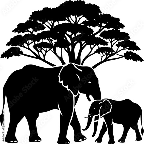 elephant in the wild