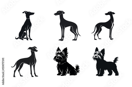 Six dog breed silhouettes italian greyhound yorkshire terrier