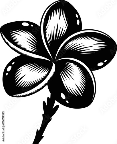 Plumeria flower icon black and white silhouette