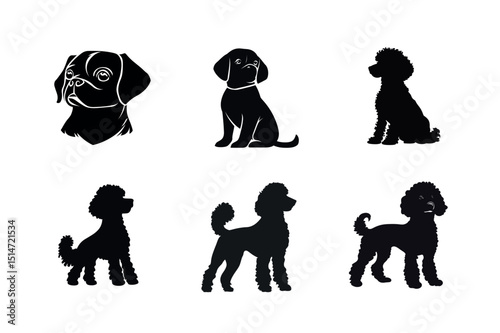 Silhouette collection of poodles and cavalier king charles spaniels