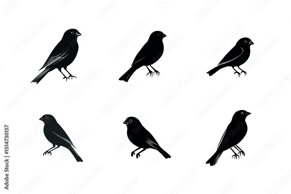 Obraz premium Six black bird silhouettes in different poses