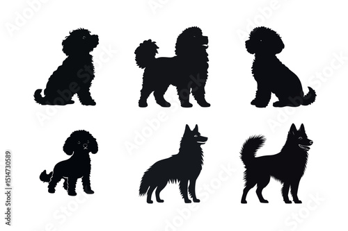 Six dog silhouettes poodles and spitz breeds