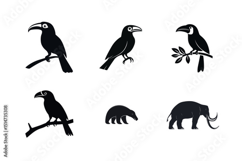 Silhouette collection of toucans anteater and mammoth