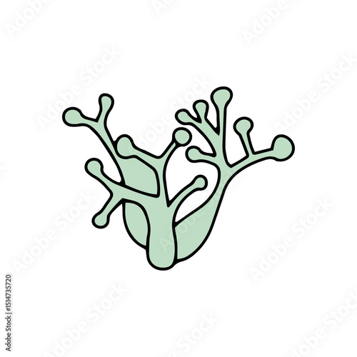 cartoon coral reef isolated on white background. Abstract Seaweed Shape Aesthetic Element Vector Illustration