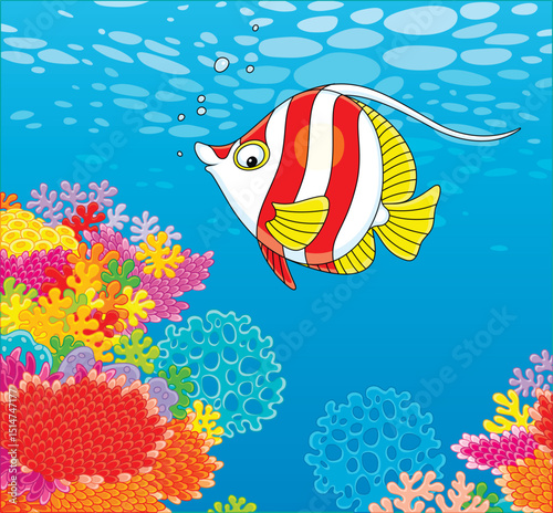 Funny striped butterflyfish swimming over colorful corals of a reef in blue water of a tropical sea, vector cartoon illustration