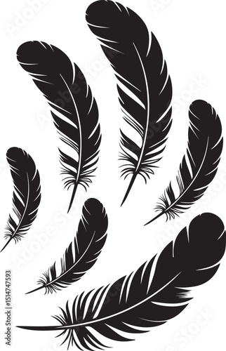 vector silhouette of bird feathers collection - 2