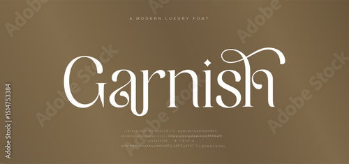 Modern and Elegant wedding alphabet letters font and number. Typography Luxury classic lettering serif fonts decorative vintage retro logo concept. vector illustration