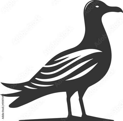 Vector drawing silhouette of a seagull bird artwork black