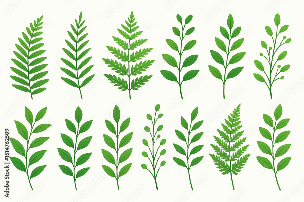 set of green leaves set of green leaves