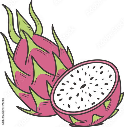 vector illustration of a dragon fruit