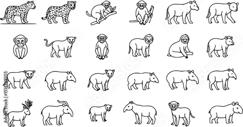 Rainforest mammals linear icons set – outline, jungle and wildlife symbols
