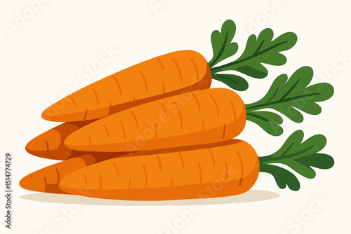Organic carrots illustration. Fresh raw carrot vegetable bunch with green leaves. Healthy eating, vegetarian food, farm harvest concept. Vitamin rich root vegetable graphic design element.