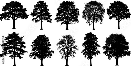 small pine tree silhouettes on the white background volume 2
