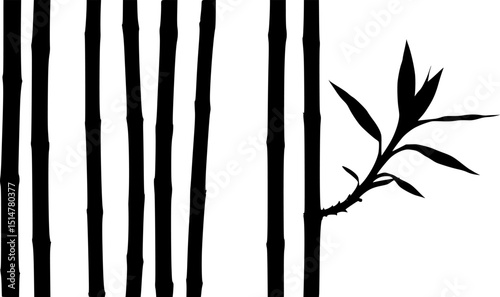 bambus silhouettes volume 1
