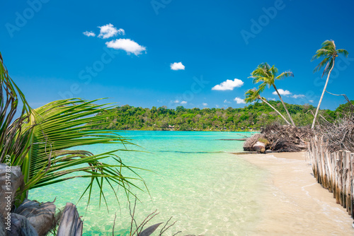 Fototapeta Naklejka Na Ścianę i Meble -  Beautiful tropical beach at exotic island with palm trees