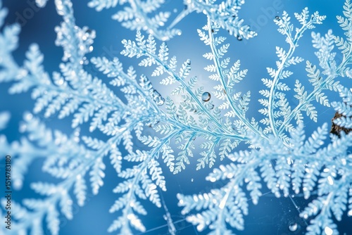 Captivating macro shot of intricate frost patterns resembling delicate ferns on a blue background. Crystal formations and ice textures create a beautiful, cold, and abstract winter scene. Ideal for th