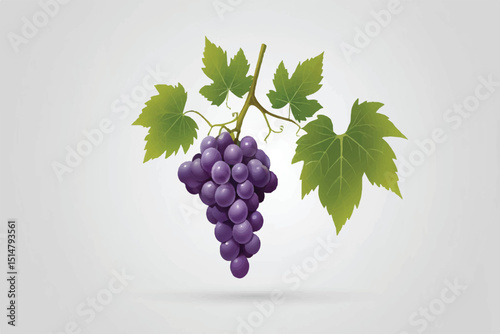Fresh grape vine isolated transparent background