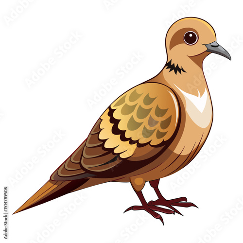 Soft Colored Mourning Dove Graphic Art