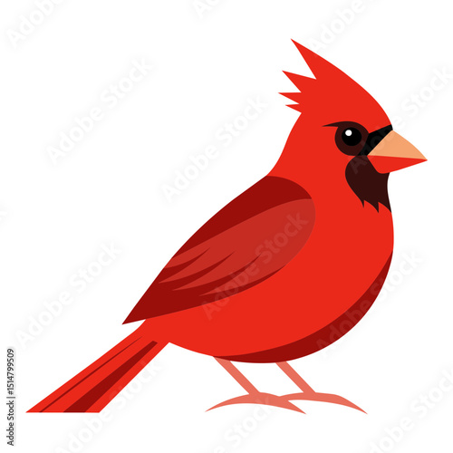 Cardinal Songbird on Branch Clipart