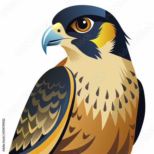 Peregrine Falcon Vector Clipart