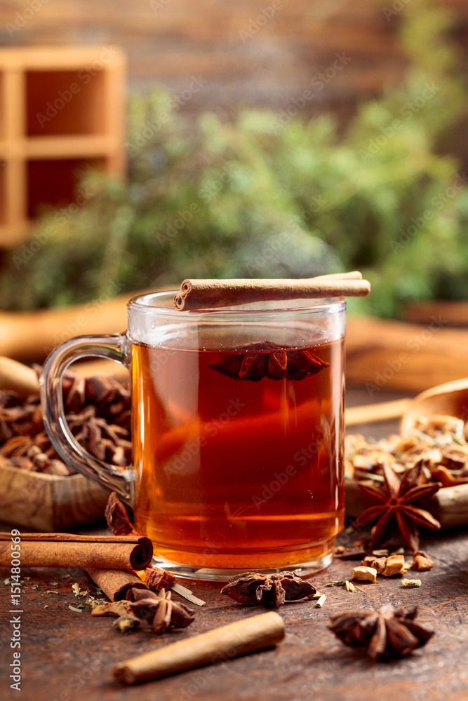 Fototapeta premium Christmas herbal tea with cinnamon, anise, and dried herbs.
