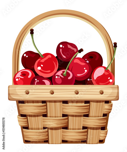 Woven basket with red cherries isolated on a white background. Vector illustration