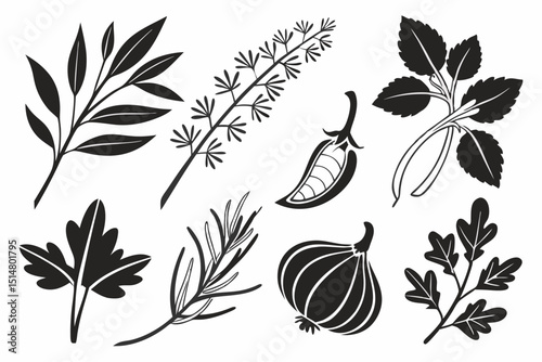 hand drawn vector illustration of fresh vegetables