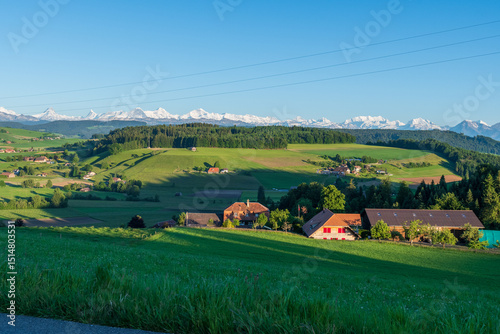 Sunset over Emmental’s green hills with cows grazing, chalets glowing in golden light, and the Swiss Alps towering in the background, their snowy peaks tinted pink and orange. photo