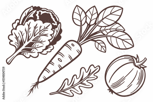 feather and ink