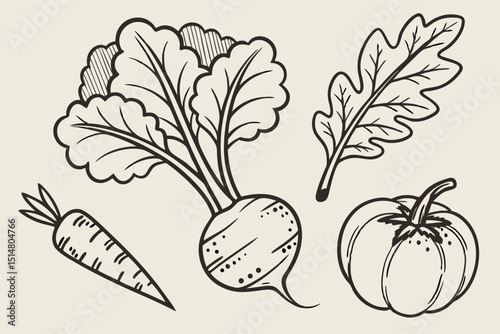 hand drawn vegetables