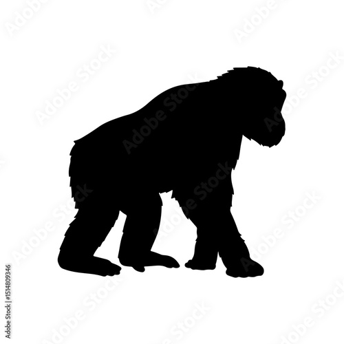 Chimpanzee silhouette icon vector flat design on white background photo