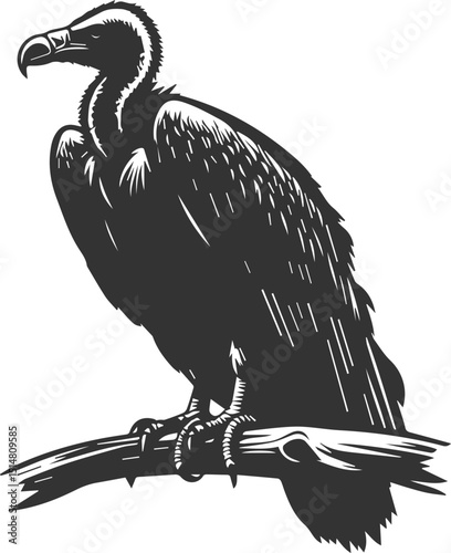 Bird vector drawing silhouette of a black vulture